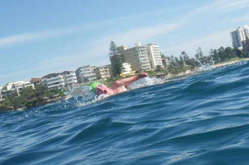 Shark Island Swim Challenge 2015