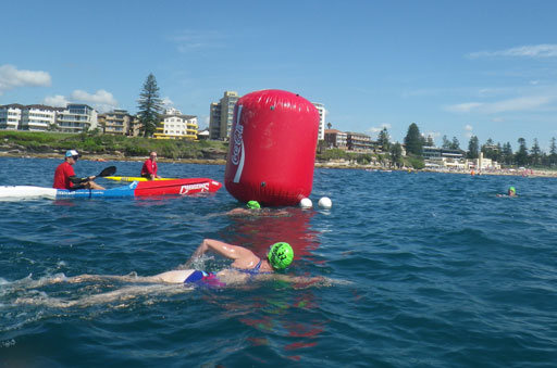 Shark Island Swim Challenge 2015