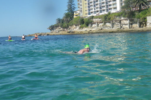 Shark Island Swim Challenge 2015