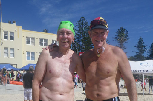 Shark Island Swim Challenge 2015