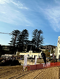 Link to the 2026 1km image gallery