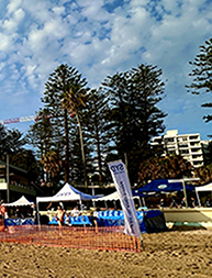 Link to the 2026 start finish line image gallery