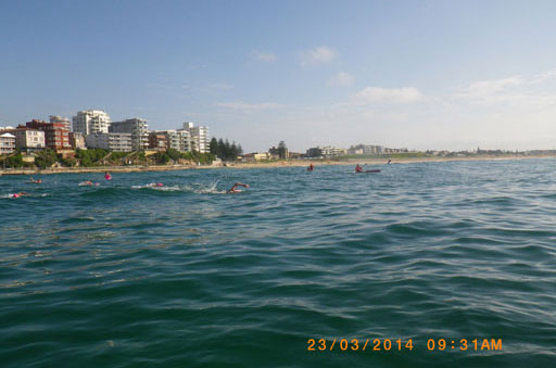 Shark Island Swim Challenge 2014