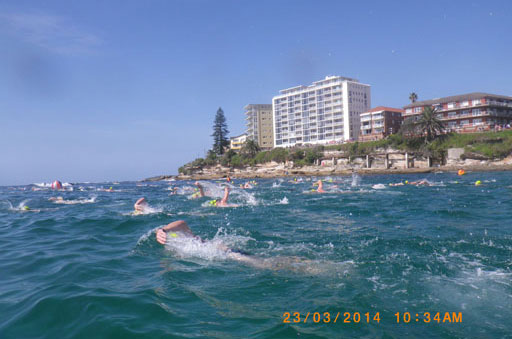 Shark Island Swim Challenge 2014